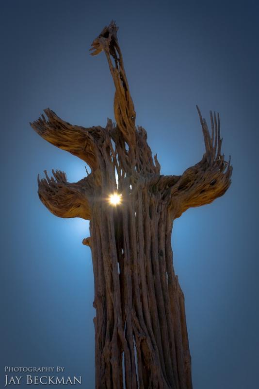 En güzel doğa fotoğrafları