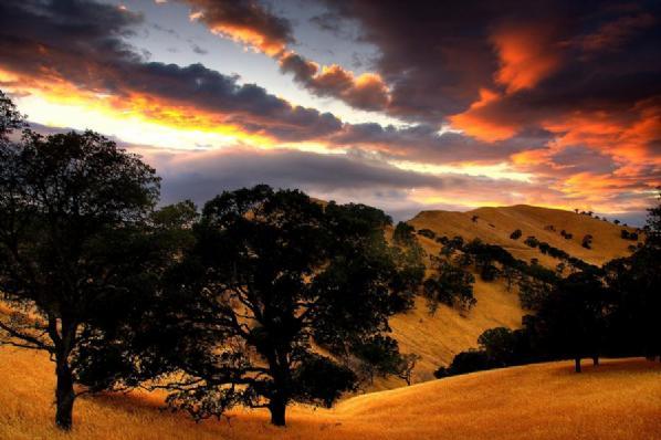 En güzel doğa fotoğrafları
