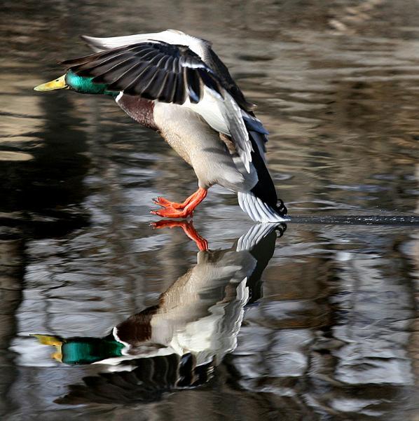 En güzel doğa fotoğrafları