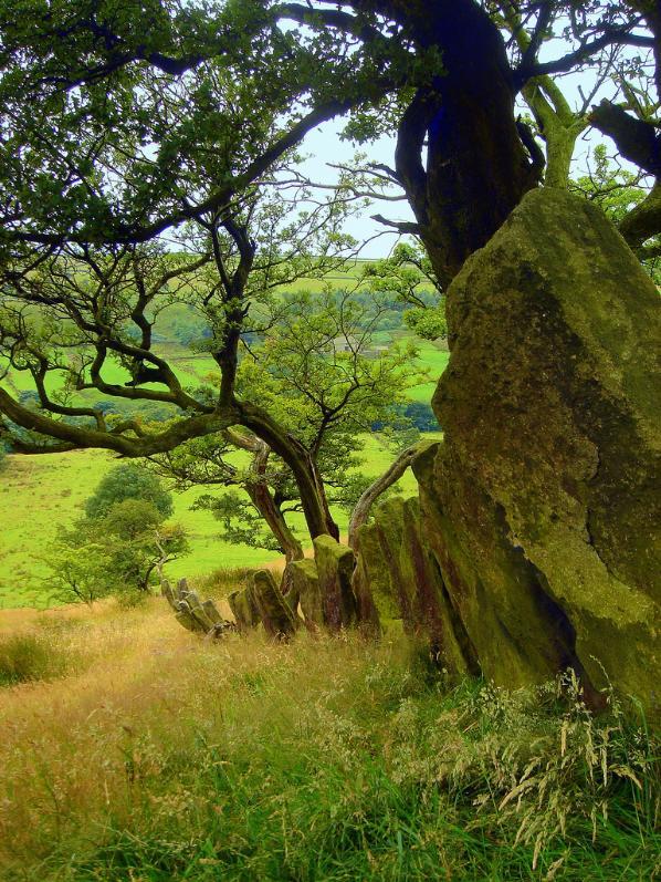 En güzel doğa fotoğrafları