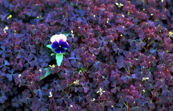 En güzel doğa fotoğrafları