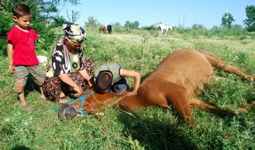 Ata tecavüz edip öldürdüler