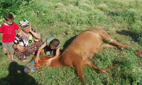 Ata tecavüz edip öldürdüler