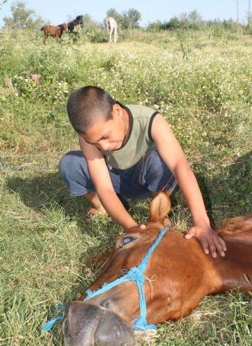 Ata tecavüz edip öldürdüler