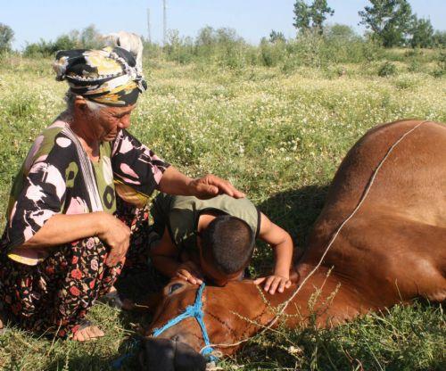 Ata tecavüz edip öldürdüler
