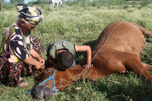 Ata tecavüz edip öldürdüler