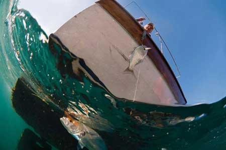 Balık gözüyle İstanbul - Resim 4