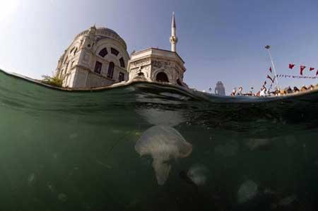 Balık gözüyle İstanbul - Resim 5
