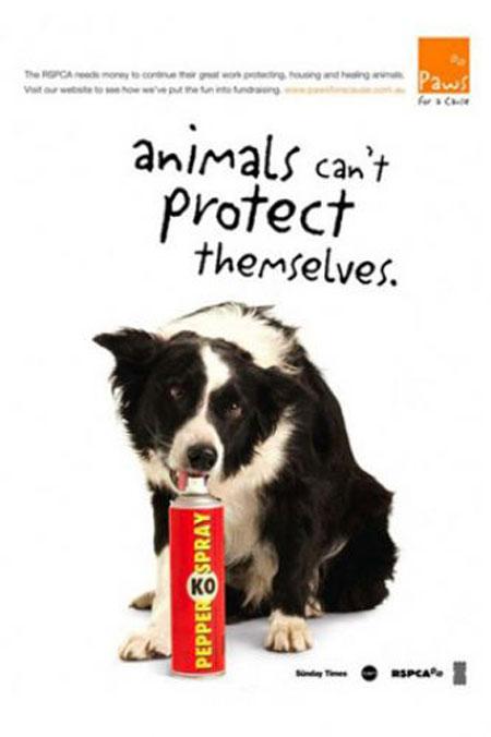 En ilginç reklam afişleri 