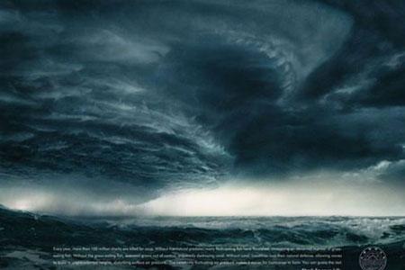 En ilginç reklam afişleri 