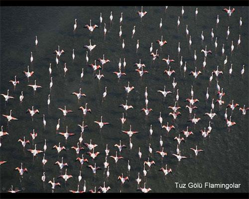 300 mt'den TÜRKİYE