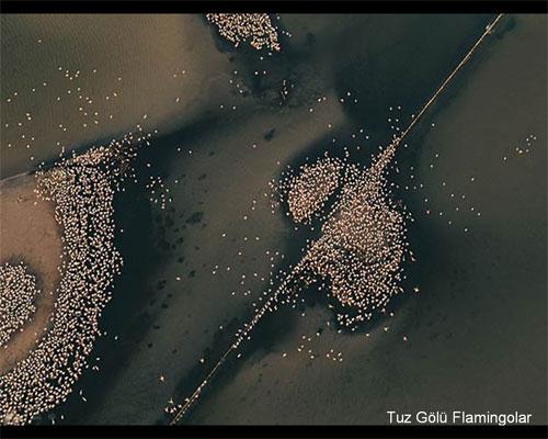 300 mt'den TÜRKİYE