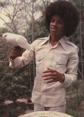 Michael Jackson öldü - Resim 65