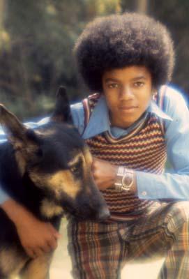 Michael Jackson öldü - Resim 13