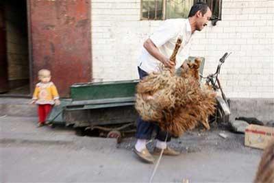 Kare kare Çin vahşeti