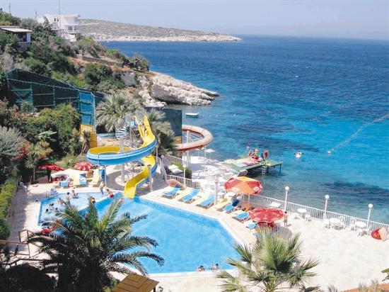 Ayşe Arman haşemalı