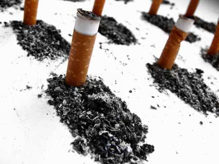 Doğanın objektiflere yansıması