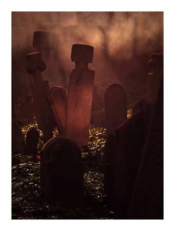 Doğanın objektiflere yansıması