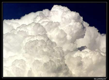 Doğanın objektiflere yansıması