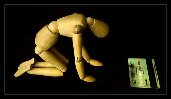 Doğanın objektiflere yansıması