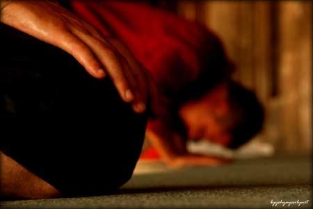 Doğanın objektiflere yansıması