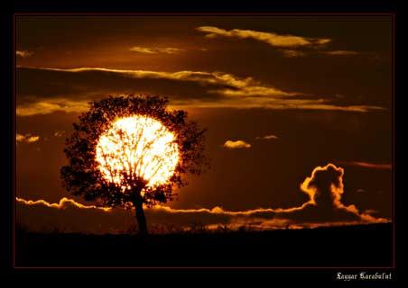 Doğanın objektiflere yansıması