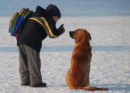 Doğanın objektiflere yansıması