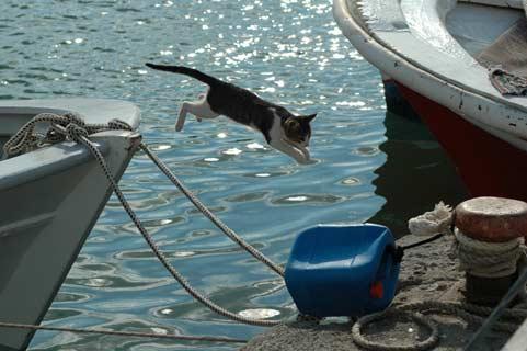 Doğanın objektiflere yansıması