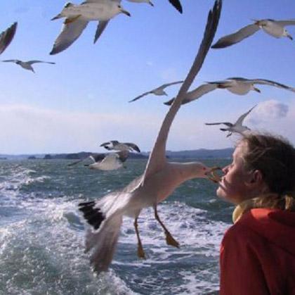 O AN fotoğrafları - Resim 15