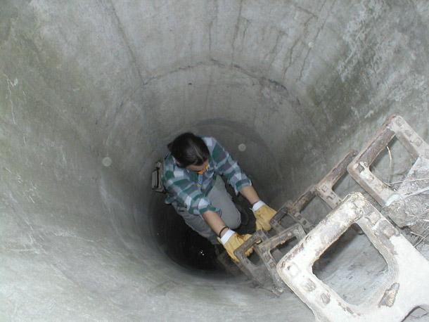 Hayallerin şehri Paris 2