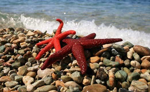 Doğanın objektiflere yansıması