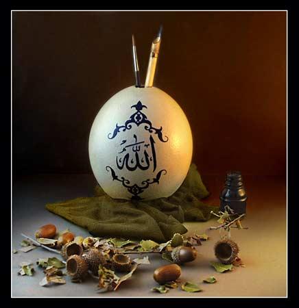 Doğanın objektiflere yansıması