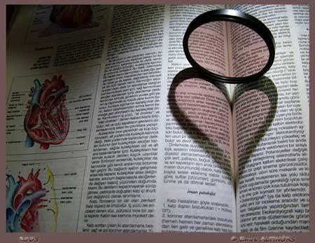 Doğanın objektiflere yansıması