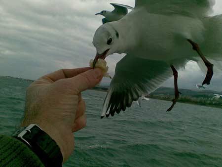 Doğanın objektiflere yansıması