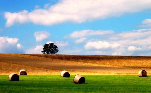Doğanın objektiflere yansıması