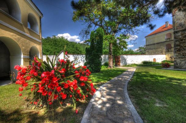 Hayallerin şehri Paris 2