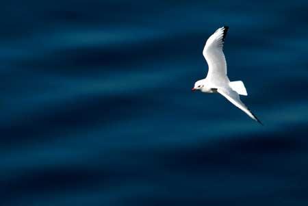 Doğanın objektiflere yansıması