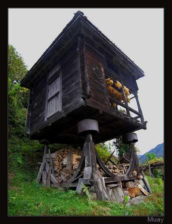 Doğanın objektiflere yansıması