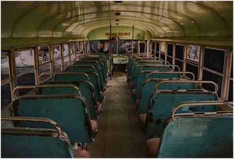 Doğanın objektiflere yansıması