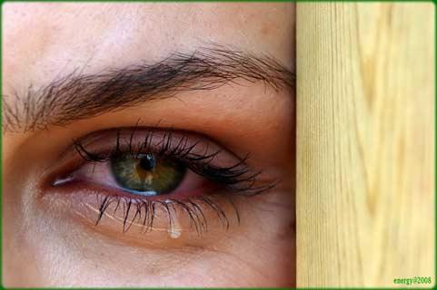 Doğanın objektiflere yansıması