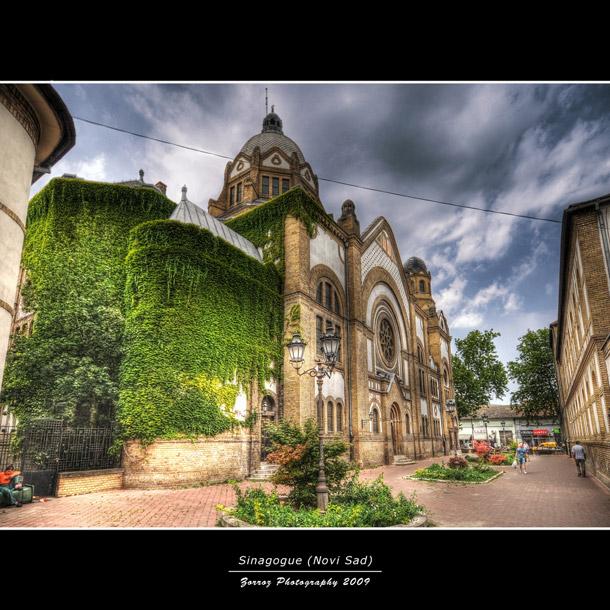 Hayallerin şehri Paris 2