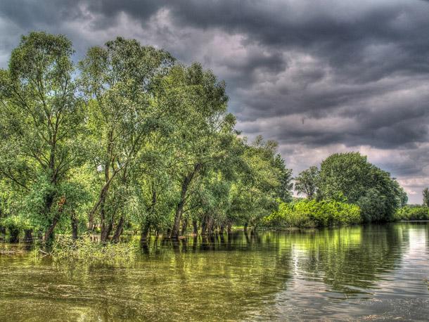 Hayallerin şehri Paris 2