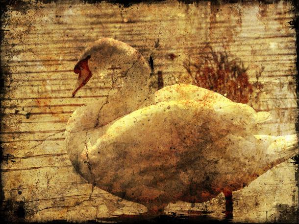 Hayallerin şehri Paris 2