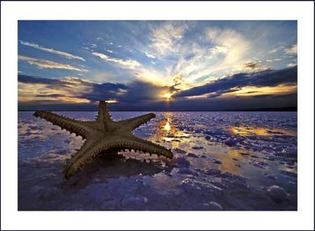 Doğanın objektiflere yansıması