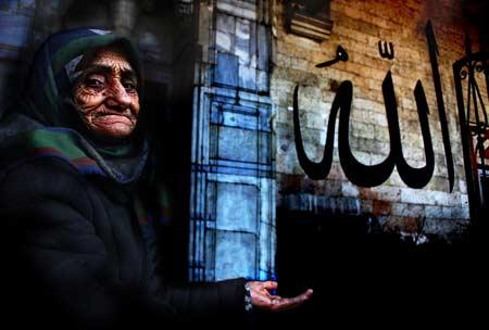 Doğanın objektiflere yansıması