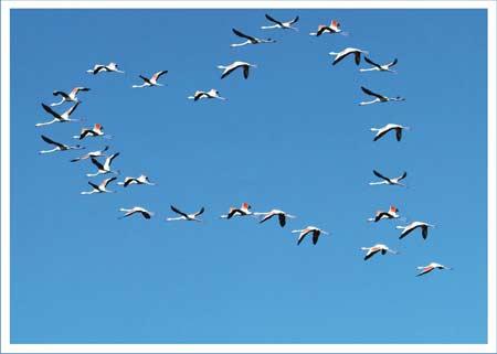 Doğanın objektiflere yansıması