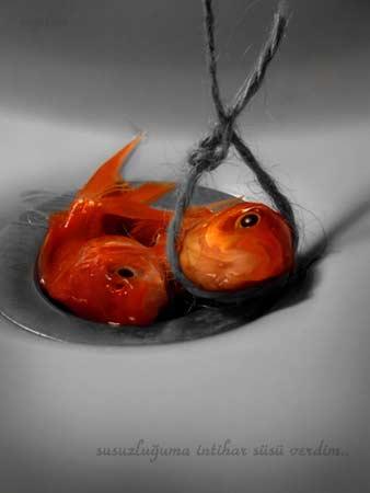 Doğanın objektiflere yansıması