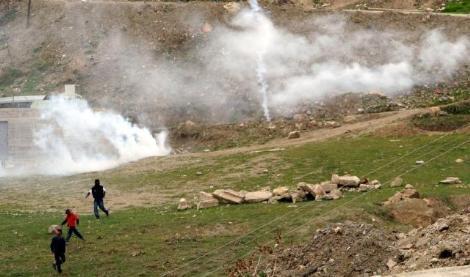 Polis dipçikle böyle dövmüştü