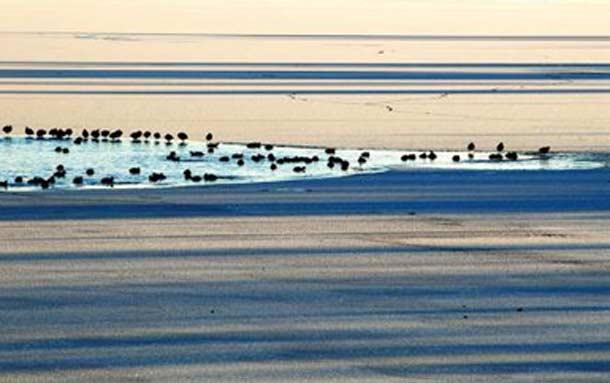 Fotoğraflarla Türkiye Turu  - Resim 10