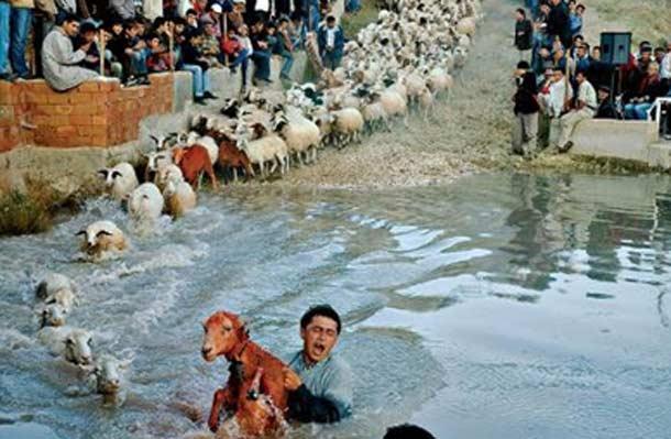 Fotoğraflarla Türkiye Turu  - Resim 35